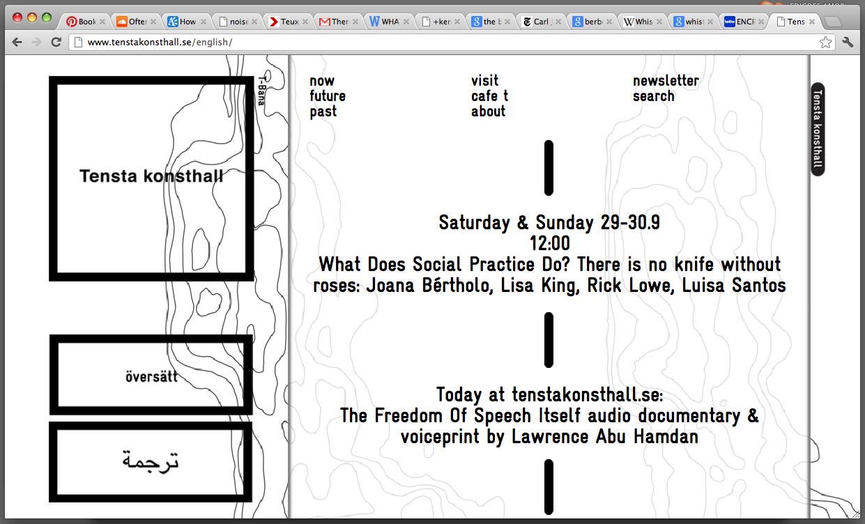 What does Social Practice Do?